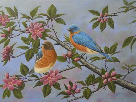 Bluebirds by Robert Wavra art print