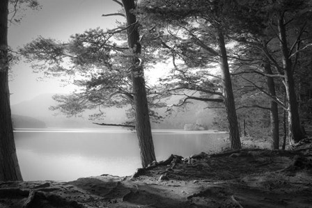 Loch An Eilein by Dorit Fuhg art print