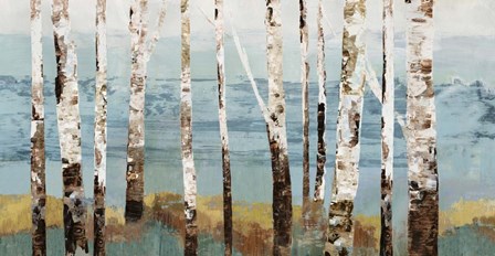 Birch Reflection by Allison Pearce art print