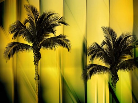 Two Palms by Posters International Studio art print