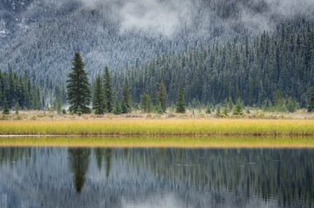 Waterfowl Lake II by Alan Majchrowicz art print