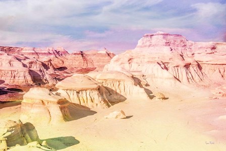 Bisti Badlands Desert Wonderland II by Ramona Murdock art print