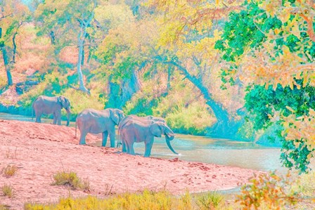 Waterhole Rendezvous I by Ramona Murdock art print