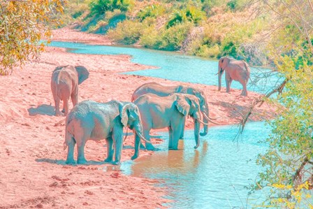 Waterhole Rendezvous II by Ramona Murdock art print