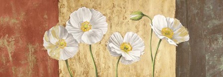 Poppies on Smooth Background by Jenny Thomlinson art print