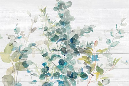 Eucalyptus I on Shiplap Crop by Danhui Nai art print