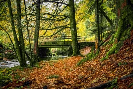 Black Forest River Bridge by Ramona Murdock art print