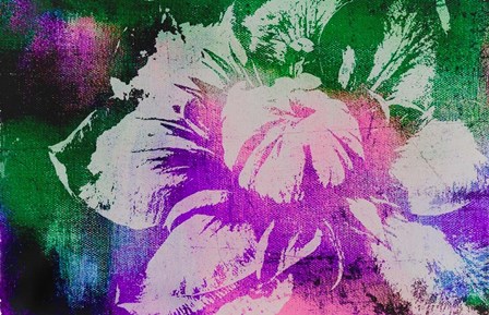 Color Pop Flower by Lu Anne Tyrrell art print