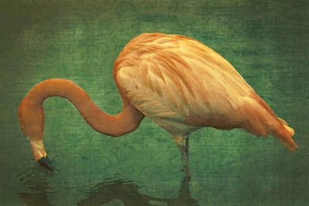 Caribbean Flamingo by Graffitee Studios art print