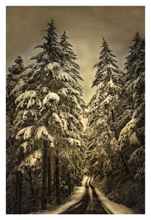 Wagner Creek Snow by David Lorenz Winston art print