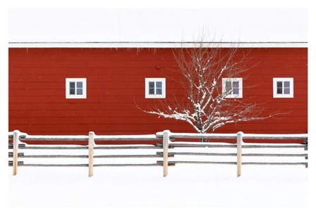 Red Bitterroot Barn by Jason Savage art print