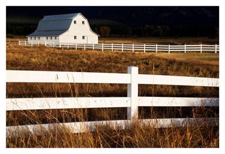 White Bitterroot Barn by Jason Savage art print