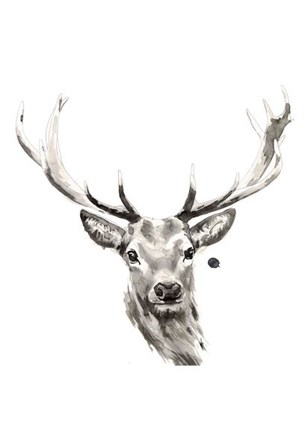 Elk by Philippe Debongnie art print