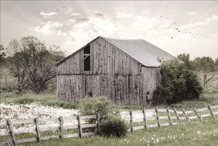 Barnsville Barn by Lori Deiter art print