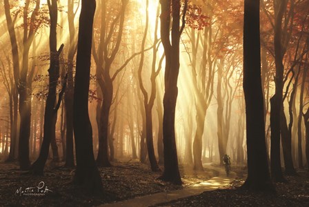 Biker&#39;s Paradise by Martin Podt art print