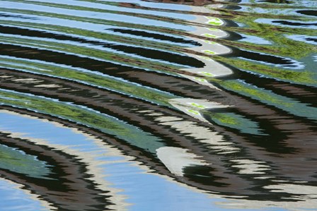 Green Trees Reflected in River with Ripples on the Water by Cindy Miller Hopkins / Danita Delimont art print