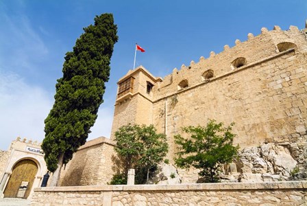 Borj, Fort, El Kef or Le Kef, Tunisia by Nico Tondini / Danita Delimont art print