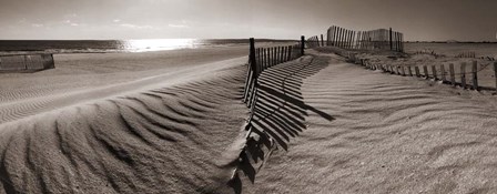 Dune Walk by Noah Bay art print