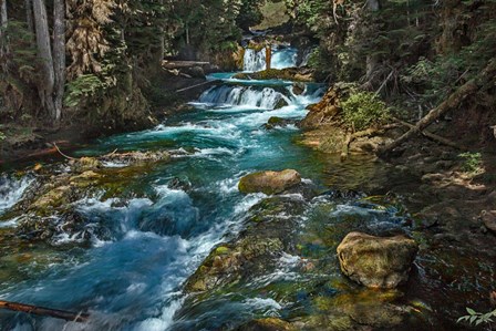 McKensie River by Larry McFerrin art print