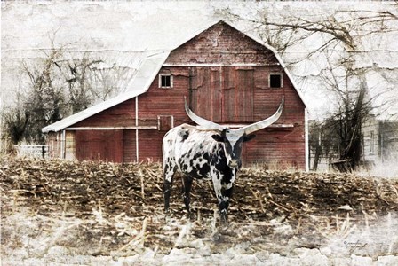 Longhorn by Jennifer Pugh art print