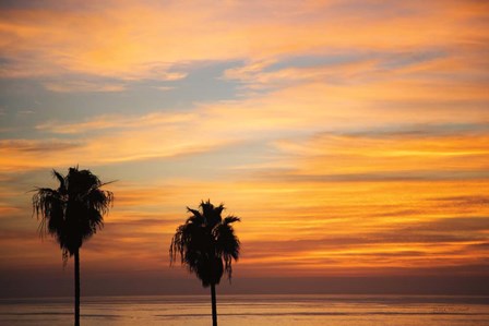 Sunset Palms III by Laura Marshall art print