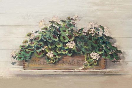 Market Geraniums Farmers Market Crop by Carol Rowan art print