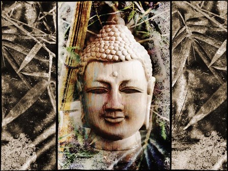 Buddha Face B by Skip Nall art print