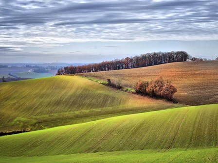 Pastoral Countryside XX by Colby Chester art print