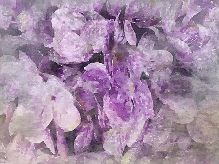 Purple Dream by Irena Orlov art print