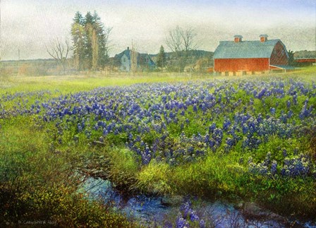 Blue Bonnet Barn by Chris Vest art print