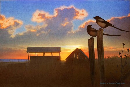 Magpies At Sunset by Chris Vest art print