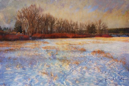 Willows Frozen Cottonwood by Chris Vest art print