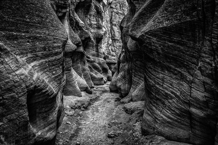 Slot Canyon Utah 7 Black &amp; White by Duncan art print