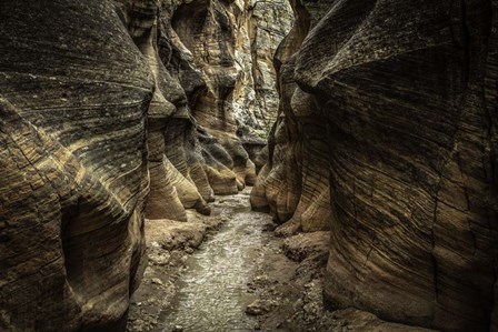 Slot Canyon Utah 7 by Duncan art print