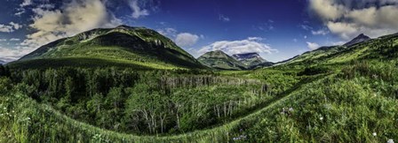 Waterton Landscape by Duncan art print