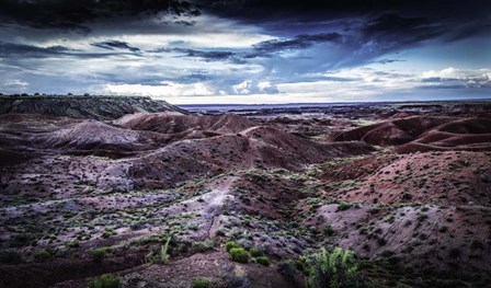 Painted Desert by Duncan art print