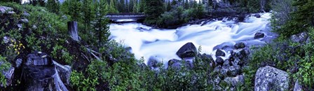 Cascade Yellowstone by Duncan art print