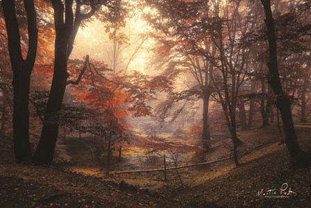 The Pool by Martin Podt art print