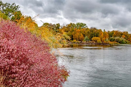 Snake River Autumn IV by Ramona Murdock art print