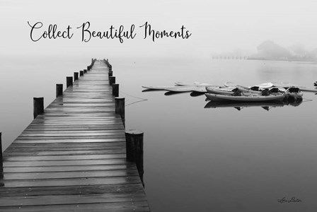 Collect Beautiful Moments by Lori Deiter art print