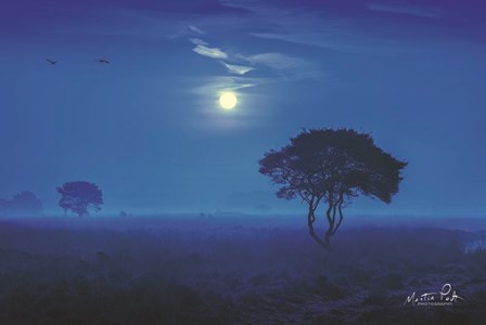 Blue Savannah by Martin Podt art print