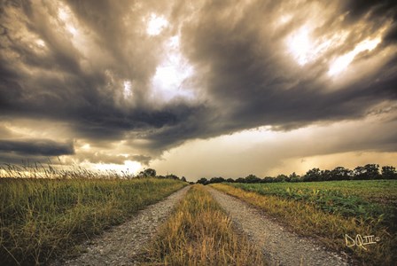 Embrace the Storm II by Donnie Quillen art print