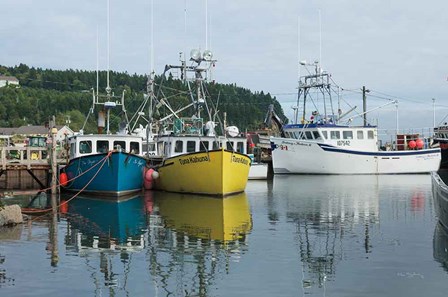 Bay of Fundy II by Alan Majchrowicz art print